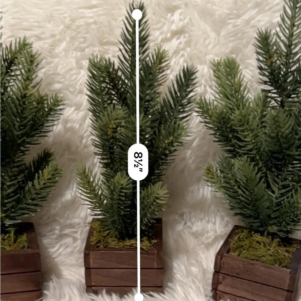 Set of Three Miniature Pine Trees in Wooden Boxes from Target